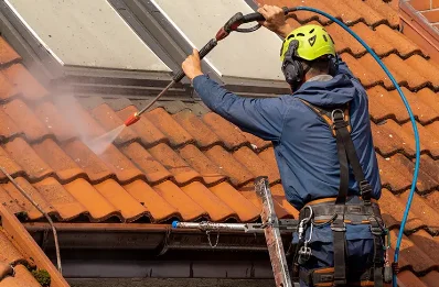 Démoussage et hydrofuge de toiture à Fins